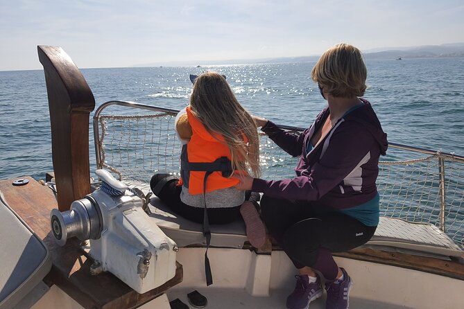 2 h Estepona Bay Tour - Dolphin Spotting in Estepona Bay and the Strait of Gibraltar