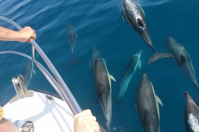 2 h Estepona Bay Tour - Swimming Time and Snorkel Gear: What You Actually Need to Bring