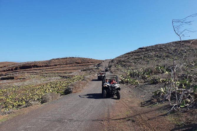 2-hour Buggy Tour from Costa Teguise - Who This Buggy Tour Is Best For