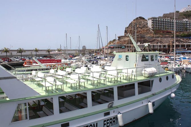 2-Hour Dolphin and Whale Watching in Gran Canaria - Muelle Deportivo De Puerto Rico: The Dolphin Search Window