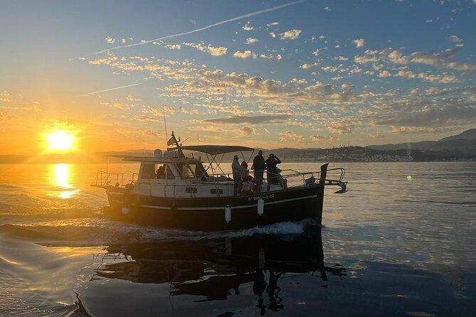 2-Hour Excursion in Search of Dolphins/ Includes Drink and Snacks - The included drink, snacks, and sea dip