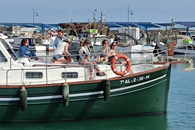 2-Hour Excursion in Search of Dolphins/ Includes Drink and Snacks - Timing and booking: how to pick your day