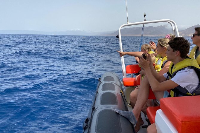 2h Dolphin and Whale Viewing + Snorkeling Tour - From Puerto del Morro Jable, you head out fast for marine sightings