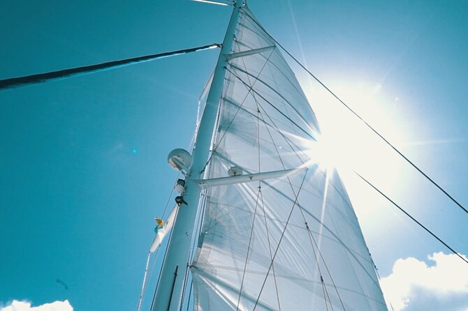 2hrs Dolphins Sunset Sailing Cruise With Drink - Itinerary rhythm: what happens during the sailing time