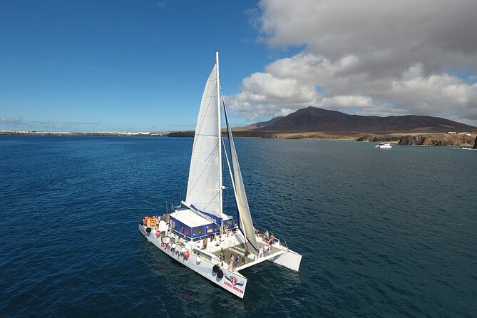 2hrs Dolphins Sunset Sailing Cruise With Drink - Comfort, waves, and seasickness: pack like it’s a real boat ride