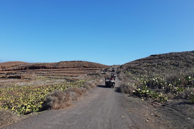 3-hour Buggy Tour from Costa Teguise - Who This Buggy Tour Is Best For