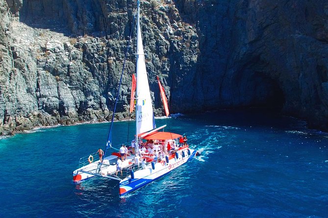 3-hour Whale and Dolphin Watching and Listening Tour - Key things to know before you go