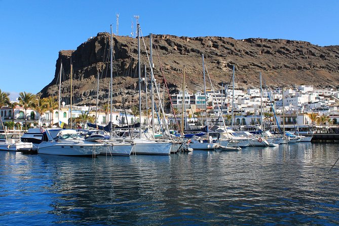 3h Boat Trip + Snorkeling in Puerto de Mogan - Getting Your Lunch Right: Canarian Food and an Open Bar Onboard