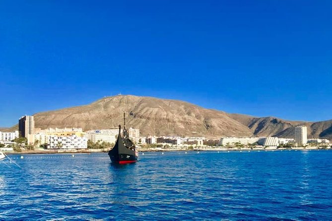 3h Viking Cruise with Drinks, Whales watching & Swimming Time - Before You Sail: Meeting the Vikings and Picking a Good Spot
