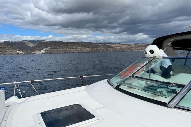 4 Hour Boat Tour with Snorkeling from Puerto Rico and Mogan - Playa de Veneguera snorkeling: the highlight swim spot and how it feels