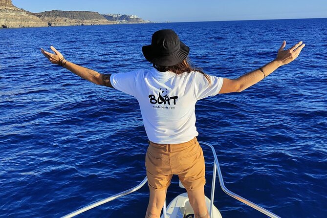4 Hour Boat Tour with Snorkeling from Puerto Rico and Mogan - Price and value: why small-group luxury usually costs more, but here it makes sense