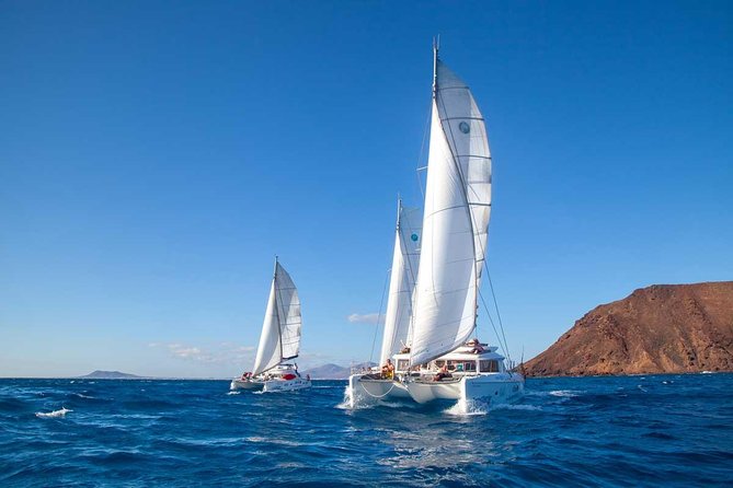 4-Hour Sailing Tour of Lobos Island from Fuerteventura - If You Want Land Time: Transfers and the Footwear Question