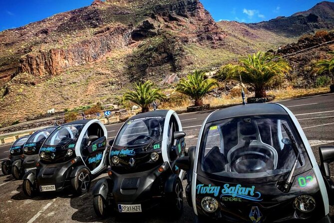 4 Hours Eco Safari Tour with Electric Car in Tenerife - Key Things That Make This Eco Safari Work