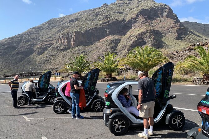 4 Hours Eco Safari Tour with Electric Car in Tenerife - Stop 1, Tamaimo: Coffee With a View and a History Lesson