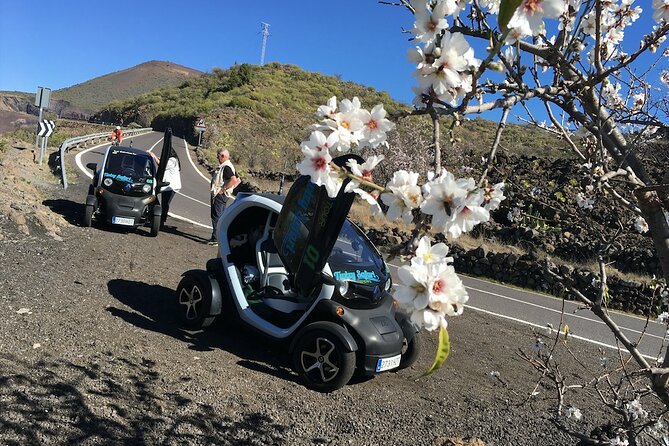 4 Hours Eco Safari Tour with Electric Car in Tenerife - Stop 3, Chio: The Food Stop That Actually Explains Itself