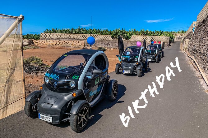4 Hours Eco Safari Tour with Electric Car in Tenerife - Dani’s Role: Why the Guide Turns Roads Into Stories