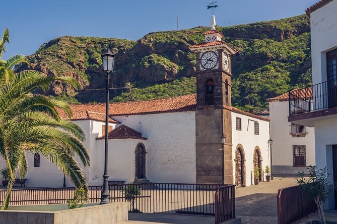 6hrs Private Tour in North Coast of Tenerife - Entering The North Coast: What a Private Car Does for Your Day