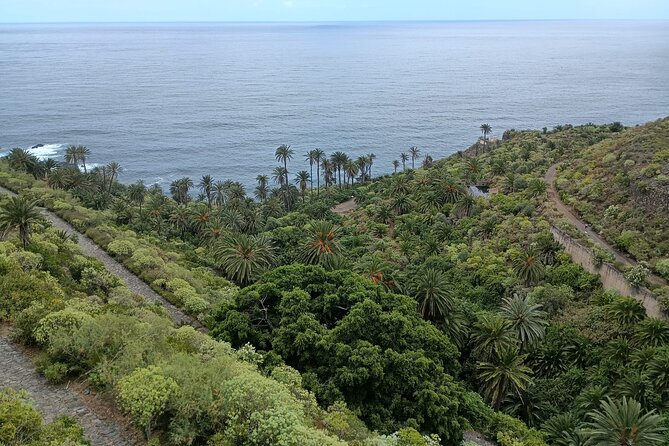 6hrs Private Tour in North Coast of Tenerife - Stop 5: Charco del Viento’s Sheltered Bay With Two Lava Arms