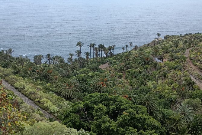 6hrs Private Tour in North Coast of Tenerife - Price and Value: What $118.56 Buys You on Tenerife North