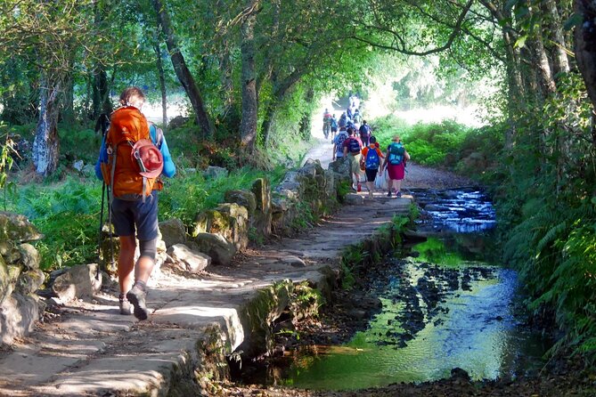 7-Day Tour of the French Way of Santiago from Sarria - Key Highlights at a Glance