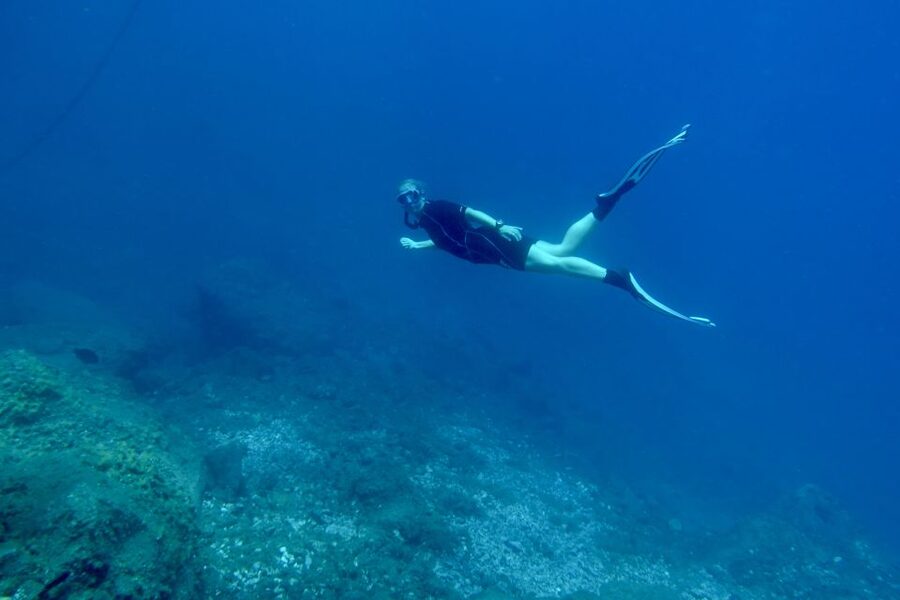 Abades: Guided Snorkeling Tour with Photos - Key things I’d circle in your notebook