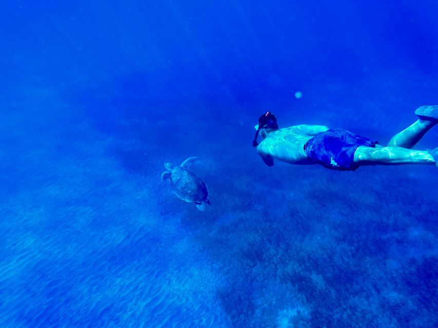 Abades: Guided Snorkeling Tour with Photos - The 2-hour snorkeling flow off Playa Abades