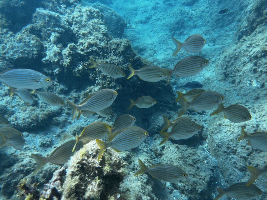 Abades: Guided Snorkeling Tour with Photos - The free underwater photos and videos you’ll actually use