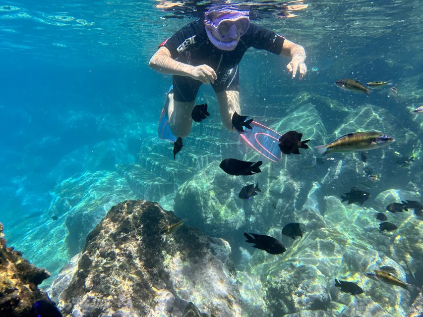 Abades: Guided Snorkeling Tour with Photos - What to bring for comfort in Tenerife