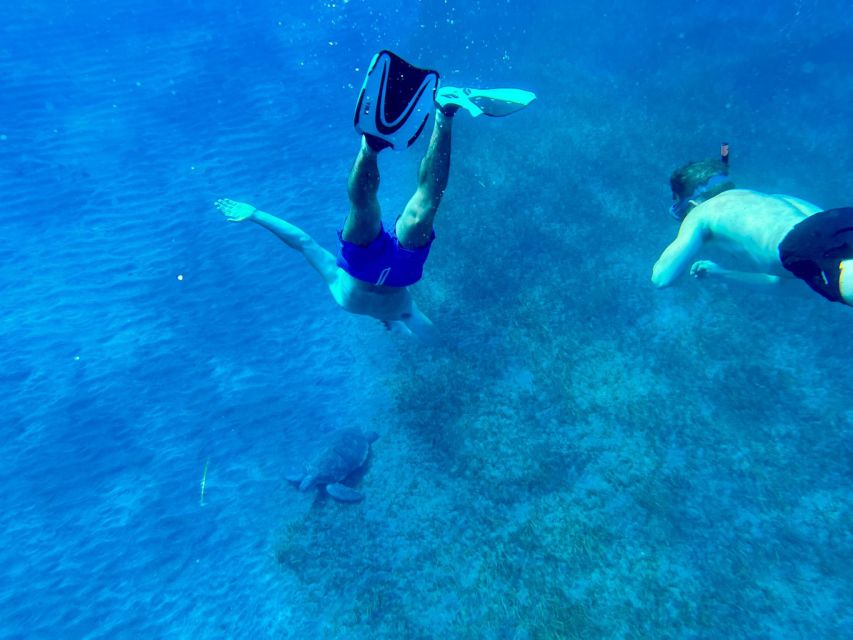 Abades: Guided Snorkeling Tour with Photos - Price and value: is $35 a good deal?