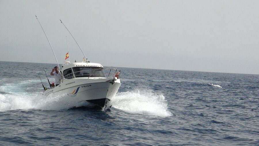 Adeje: 3.5–Hour Professional Fishing Experience - What You Might Catch Off Tenerife, and Why Season Changes Everything