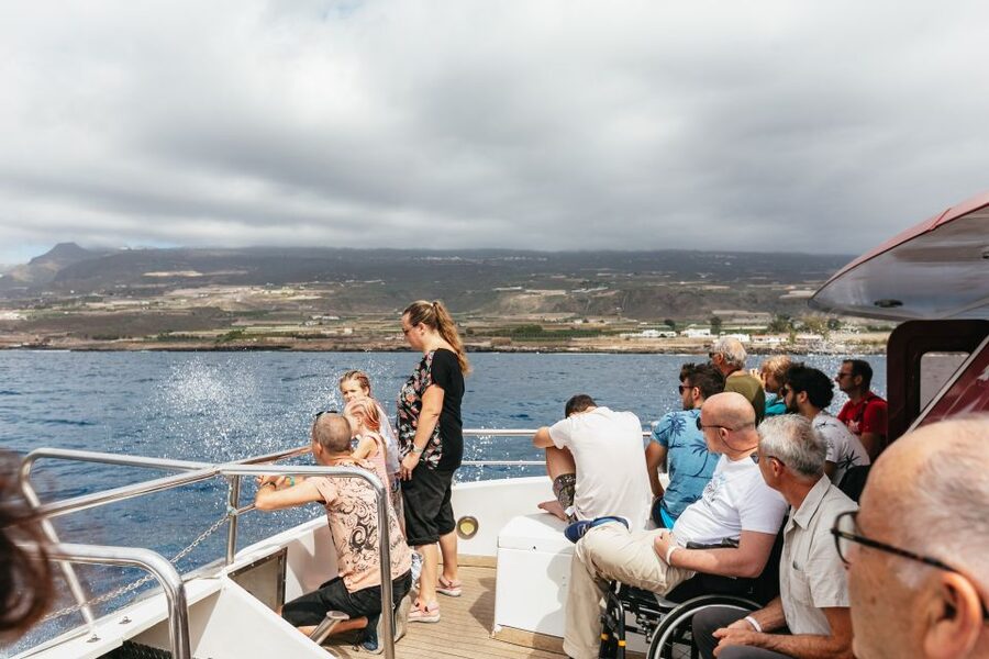 Adeje: Whale and Dolphin Watching Cruise with Lunch and Swim - Seasickness, crowding, and the small things that affect your comfort