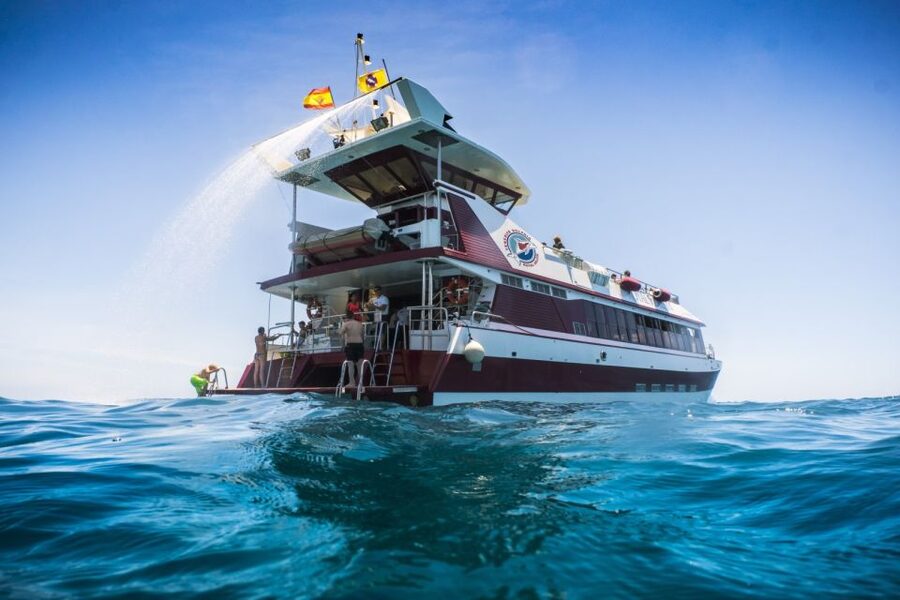 Adeje: Whale and Dolphin Watching Cruise with Lunch and Swim - Tenerife’s Whale Sanctuary, from Adeje to the Atlantic edge