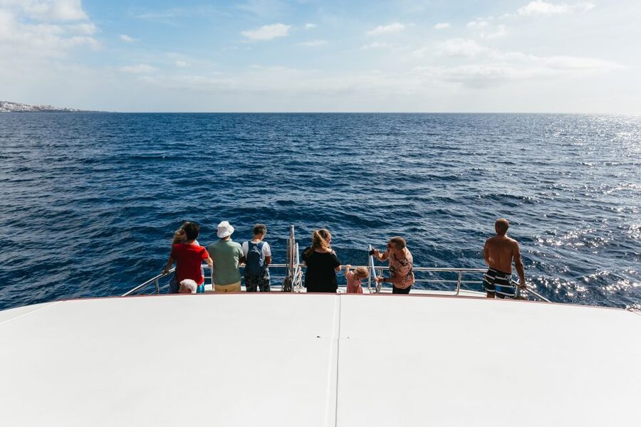 Adeje: Whale and Dolphin Watching Cruise with Lunch and Swim - Underwater windows and glass-bottom views: the best trick on a whale day
