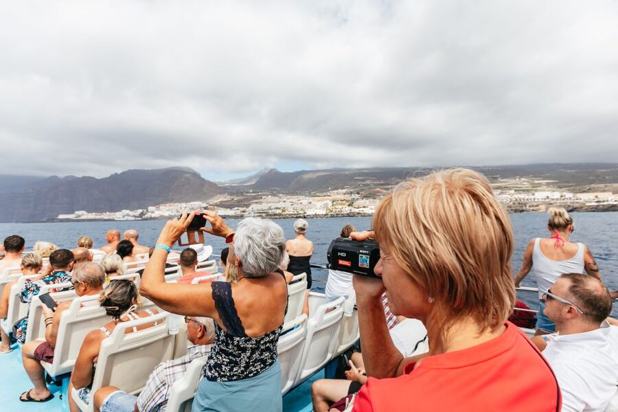 Adeje: Whale and Dolphin Watching Cruise with Lunch and Swim - Wildlife viewing stops: photo moments without turning your day into a sales pitch