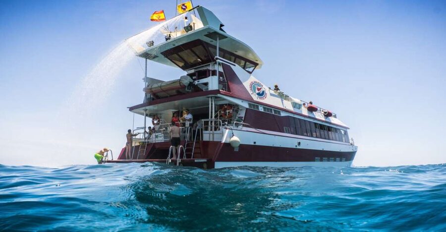 Adeje: Whale and Dolphin Watching Cruise with Lunch and Swim - Picking the right cruise: 3 hours at Diego Hernandez or 4.5 hours toward Los Gigantes