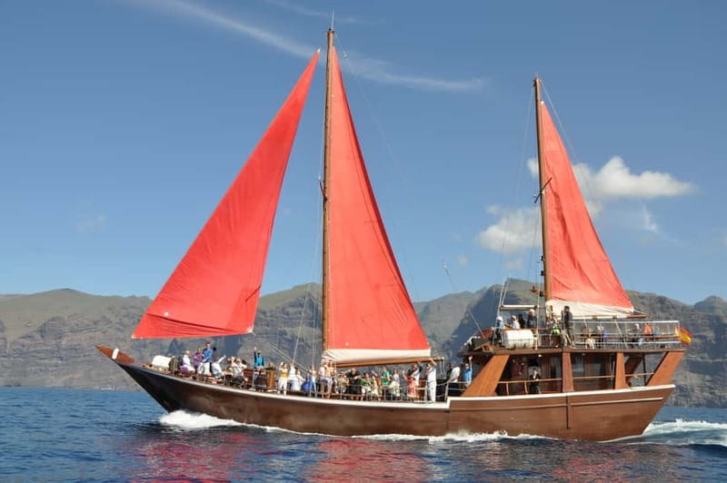 Adeje: Whale Watching Tour to Los Gigantes with lunch & swim - Key Things You’ll Notice on This Tour