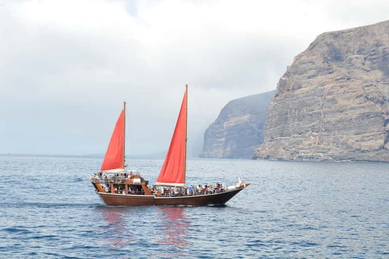 Adeje: Whale Watching Tour to Los Gigantes with lunch & swim - The Cliffs of Los Gigantes: More Than Just a Pretty Backdrop