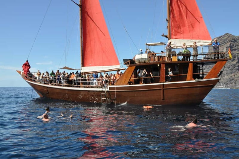 Adeje: Whale Watching Tour to Los Gigantes with lunch & swim - Swimming Under the Cliffs: Clear Water Time You’ll Remember