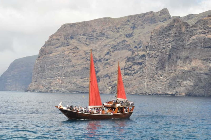 Adeje: Whale Watching Tour to Los Gigantes with lunch & swim - The 5-Hour Flow: What Happens Before You Swim