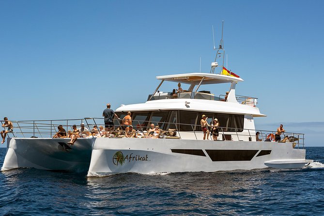 Afrikat Afternoon Cruise - Water Sports Extras: Fun Options, Real Risk, and Clear Pricing