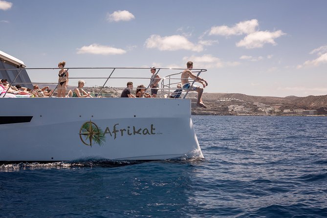 Afrikat Afternoon Cruise - Getting There: South Hotel Pickup and the Puerto Base Start
