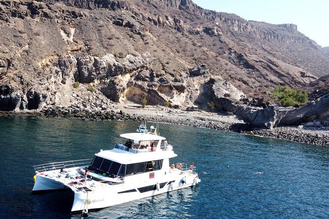 Afrikat Morning Cruise - Key things to know before you go