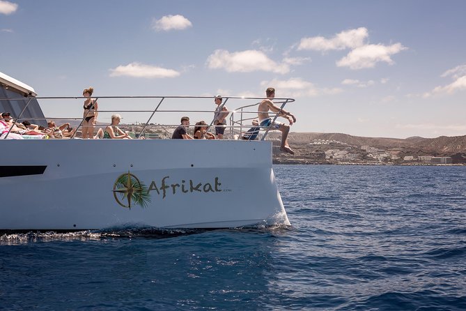 Afrikat Morning Cruise - Water sports options: choose your level of fun