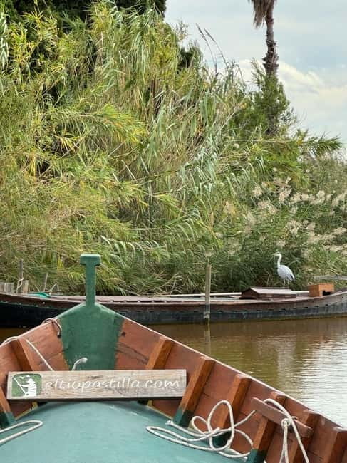 Albufera of Valencia: Guided boat ride around the Albufera - Key Things to Know Before You Go