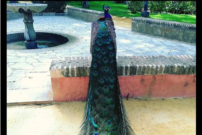 Alcazar and Cathedral of Seville Private Tour - Logistics that can make or break your time