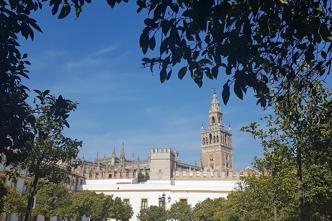Alcazar and Cathedral of Seville Tour with Skip the Line Tickets - Choosing the right way to experience Giralda’s viewpoint