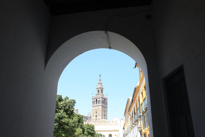 Alcazar and Cathedral Tour - Pl. del Triunfo Meeting Point: The Part That Can Trip You Up