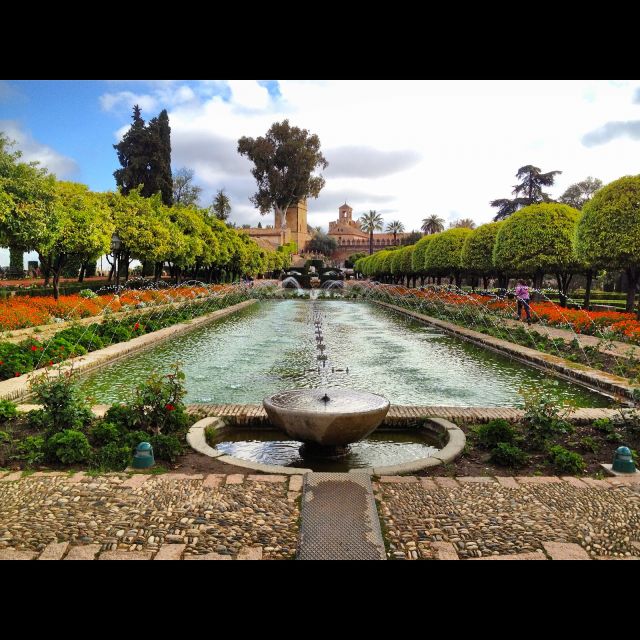 Alcazar of Cordoba Entry Ticket and Guided Tour - Price and value: $24 is about efficiency and focus