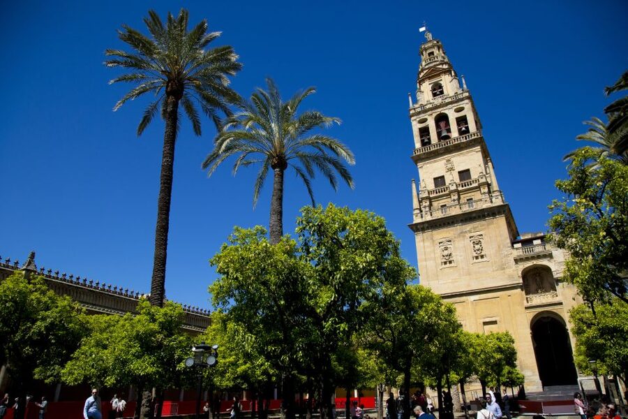 Alcazar of Cordoba Entry Ticket and Guided Tour - The rooms and patios section: how the tour keeps you oriented