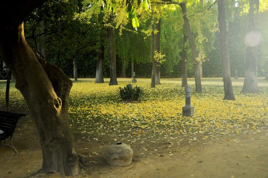 Alcázar of Seville Skip-the-Line Tickets and Guided Tour - Should you book this Alcázar skip-the-line tour?